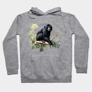 Siamang Hoodie